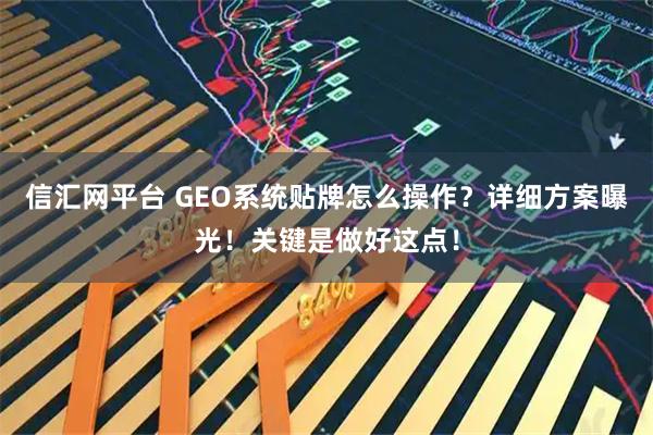信汇网平台 GEO系统贴牌怎么操作？详细方案曝光！关键是做好这点！